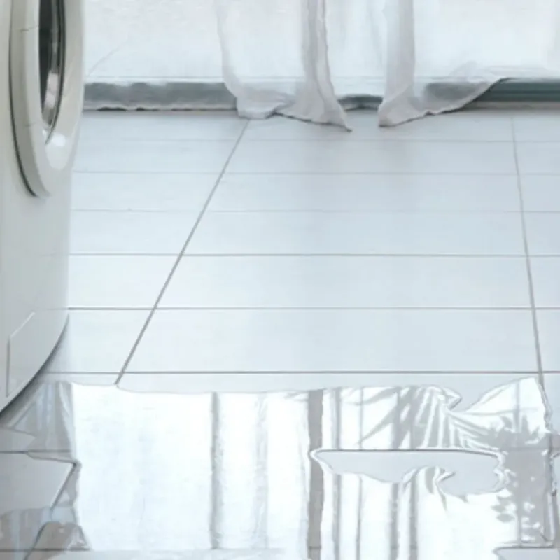 Appliance Leak Cleanup in Weissport East, PA