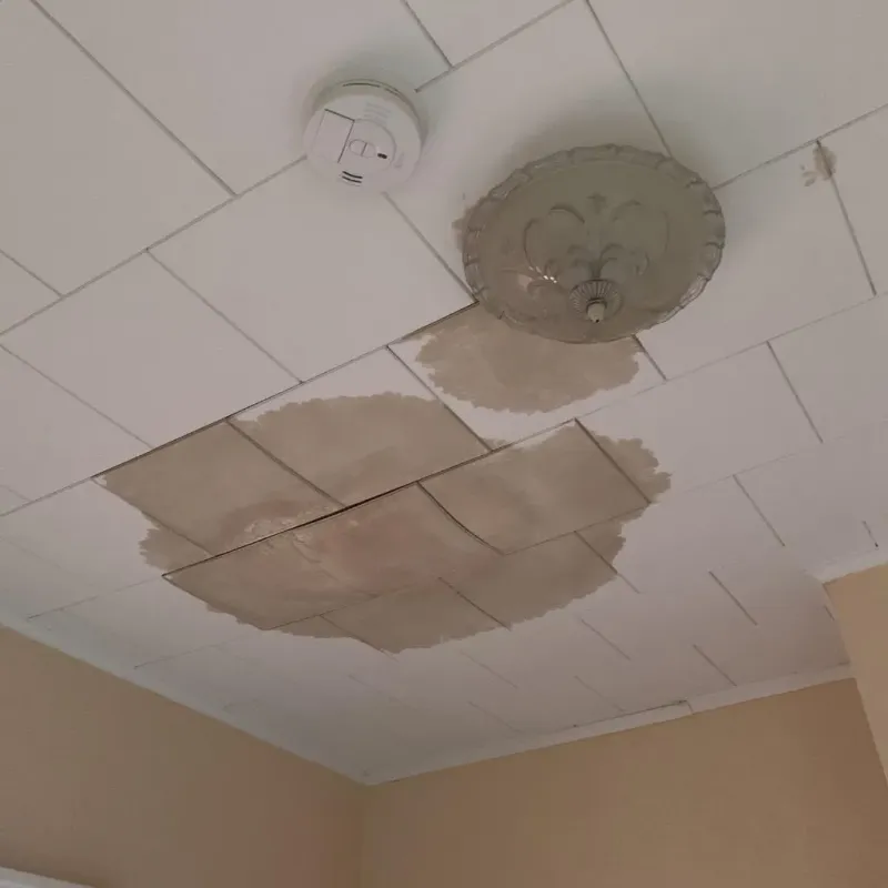Ceiling Water Damage Repair in Weissport East, PA