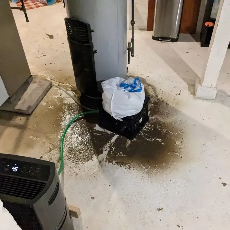 Sewage Backup Cleanup Service in Weissport East, PA